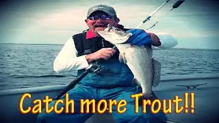 КАК ПОймать морскую форель и не только