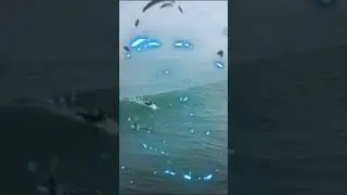🌊🏄&zwj;♂️🥵🥶Surf Clip PART 9 #viral #surf #shorts