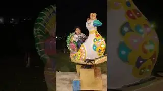 How to Experience the Thrilling Peacock Swing Ride at Askari Park #shorts #youtubeshorts #fun #park