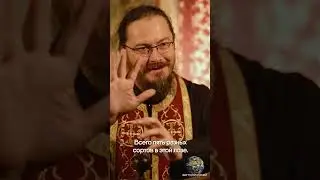 Чудотворная лоза святого Симеона Мироточивого. Монастырь Хиландар. Святая гора Афон.