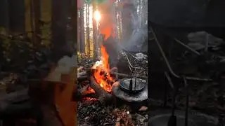 #shortcamping #eat #compilation #camping #campinglife #fyp #forest