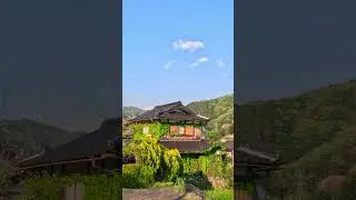 Beautiful Kyoto  #japan #citytours #walkingtour #shorts