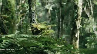 Morning Positive Energy Meditation | Super Relaxing Music | Soulful Piano Music | Mind Healer