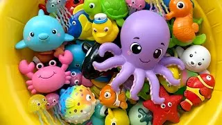 Learn Ocean Animal Names & Fun Facts for Kids! 🦈 Shark Whale Octopus | Sea Animal Toys for Toddlers