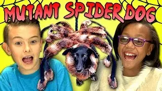 KIDS REACT TO MUTANT SPIDER DOG