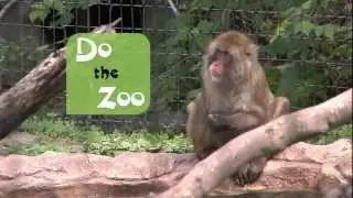 Blank Park Zoo 