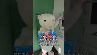 PETA Germany Mouse Tries to Visit Ajinomoto #shortsvideo