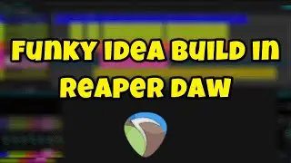 Quick Funky Idea from Scratch (No talk/edits) | Reaper DAW #reaperdaw #guitar