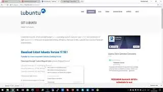 Tutorial de Seedr