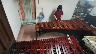 C major scale marimba-ADAMS Marimba xylophone