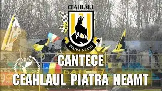 CANTECE CEAHLAUL + VERSURI (PELUZA NORD CEAHLAUL, GATE 7, BLACK & YELLOW SQUAD)