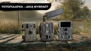 Fotopułapka z podglądem na żywo, fotopułapka z kartą sim - krótki przewodnik jaką fotopułapkę kupić?