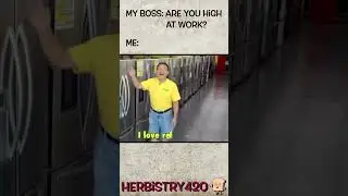 Boss Asks, Are You High At Work? | Herbistry420 #shorts