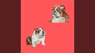 Background for Doggo Day Dreaming