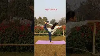 easy yoga easy exercise for flexible body flexibility #youtube #shorts #shortsyoga #yogainsipiration