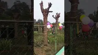 #newyearcelebration in obra children park 🙏🙏❤️❤️❤️