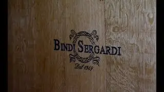 bindi sergardi settembre 2019