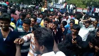 Madurai jalikattu protest at thamukam