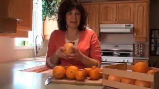 Learn about Common Orange Varieties
