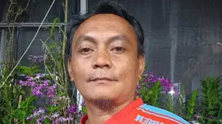 Anggrek Jadulan koleksi