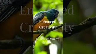 Enhanced Creativity