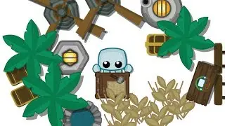 Starve.io Timelapse On The Island