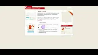 User Experience Design Reflection for a Social Media Web App for Cats