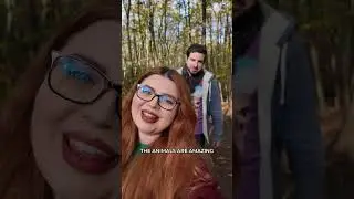 Действительно ли ферма Джимми доступна для посещения?