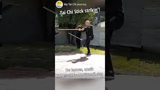 Tai Chi Stick