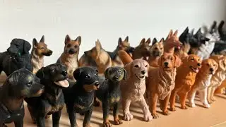 Schleich dog collection tour 2025