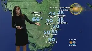 Cold Weather In South Florida, But Not For Long