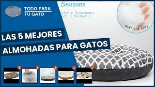 Las 5 mejores almohadas para gatos