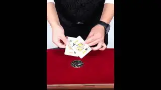 Jumbo Half Dollar Shells 3 + 1 Set