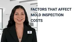 What Factors Affect The Cost of A Mold Inspection