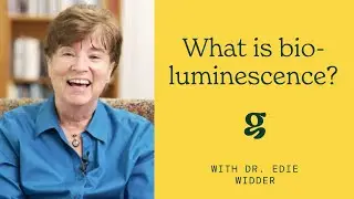 What is bioluminescence? - Dr. Edie Widder