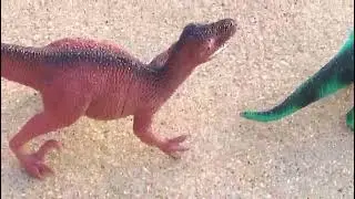 catt dargon dangres dargon toys very hot dargon costly dargon toy dargon animal