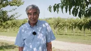 La Sostenibilit&agrave; per Cantina Sociale di Orsago