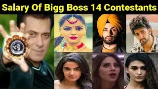 Salary Of Bigg Boss 14 Contestants