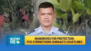 Mangroves for Protection: PCG Strengthens Surigao&rsquo;s Coastlines