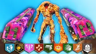 INSANE DAMAGE! *NEW* UPDATED MARSHAL AKIMBO DRAGONS BREATH PISTOLS IN ZOMBIES!
