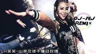 Lil笑笑 - 山茶花读不懂白玫瑰 DJ-MJ Electro Remix【有一个善良纯洁的女孩 在下雪的冬天划亮了火柴】🔥🔥 4K Music Video