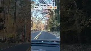 A peaceful drive thru Atlanta | Skipping the highway traffic