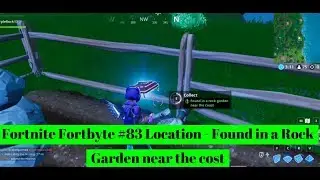 Fortnite Fortbyte #83 Location - Found in a Rock Garden near the cost