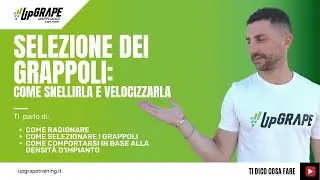 Selezione dei grappoli: come snellirla e velocizzarla