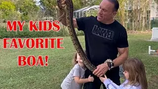 SOME AMAZING BOA MORPHS!