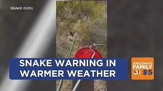 Snake warning as warm weather approaches Arizona