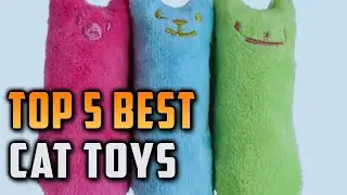Top 5 Best Cat Toys on On Aliexpress On Amazon