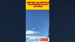 #shorts fact video Birds lover ❤️ save birds shorts