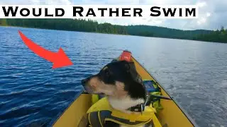 I Bought a New Canoe and My Dog Hates It