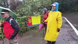 260102-0931-05  士林  落羽松林道+狗殷勤古道  從永公路500巷看落羽松